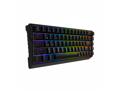 JEDEL KL-166 – Đỉnh Cao Gaming Switch Từ Tính, Hot-swappable, Bảo hành 24 tháng