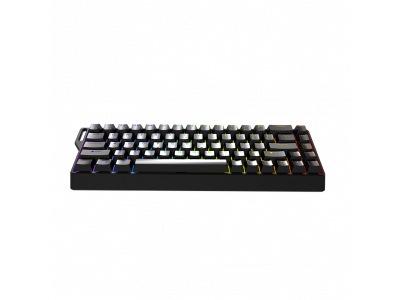 JEDEL KL-166 – Đỉnh Cao Gaming Switch Từ Tính, Hot-swappable, Bảo hành 24 tháng