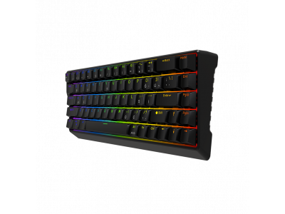 JEDEL KL-166 – Đỉnh Cao Gaming Switch Từ Tính, Hot-swappable, Bảo hành 24 tháng